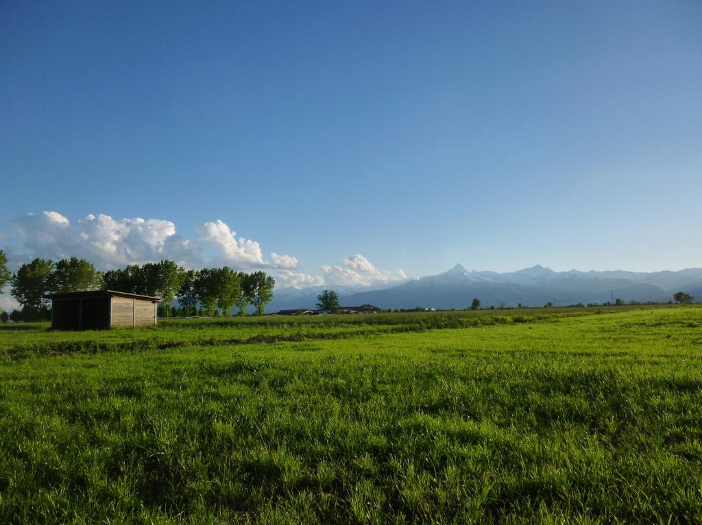 Tenuta Ajrale *